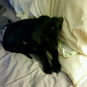 Meet your Posher, Doreen